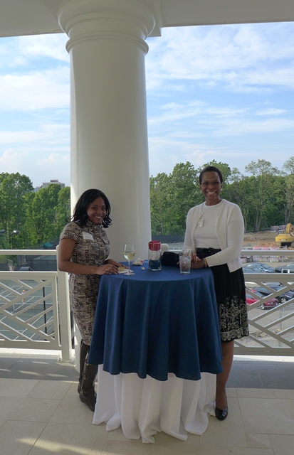 2013 DL Mentor Reception