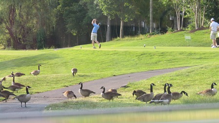 2013 Spring Golf
