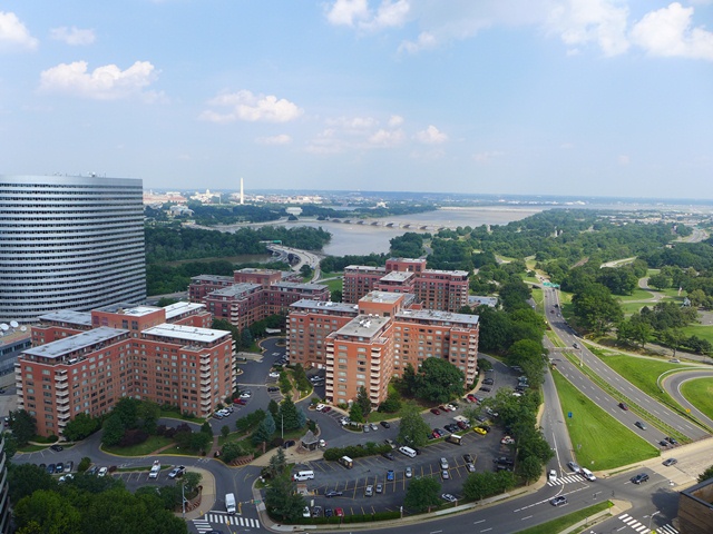 The View
