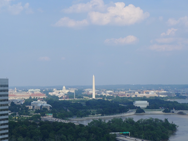 The View