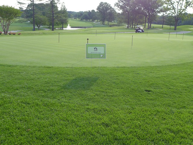 2015 Spring Golf