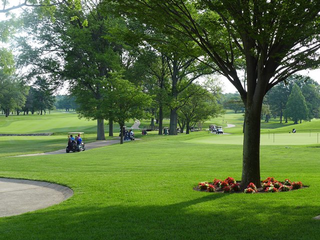 2015 Spring Golf
