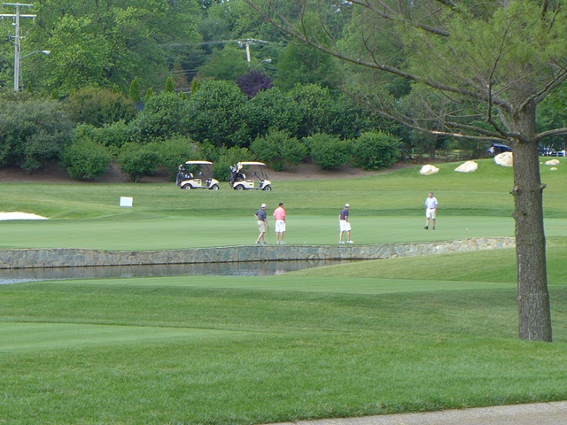 2015 Spring Golf