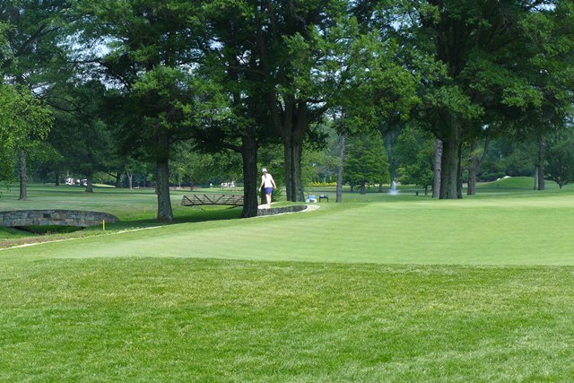 2015 Spring Golf