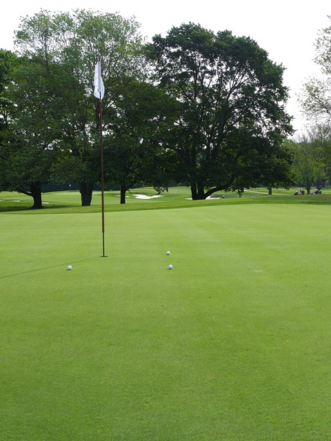 2015 Spring Golf