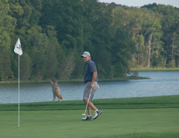 2018 Fall Golf Classic