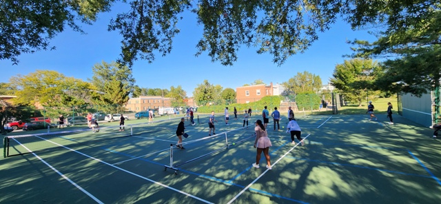 DL Pickleball Clinic