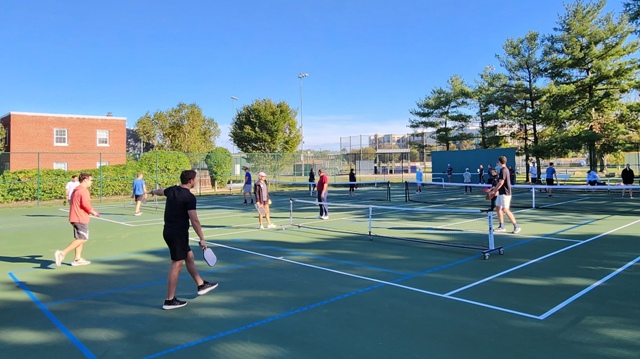 DL Pickleball Clinic