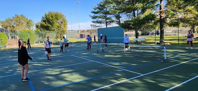 DL Pickleball Clinic