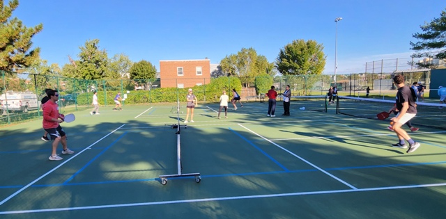 DL Pickleball Clinic