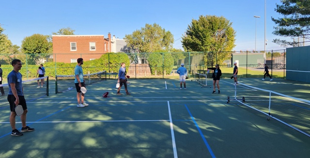 DL Pickleball Clinic