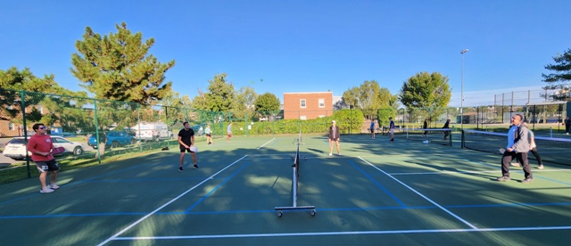 DL Pickleball Clinic