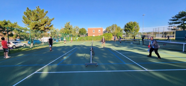 DL Pickleball Clinic