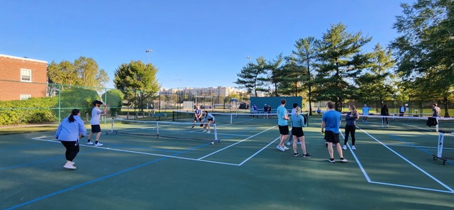 DL Pickleball Clinic