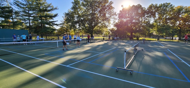 DL Pickleball Clinic