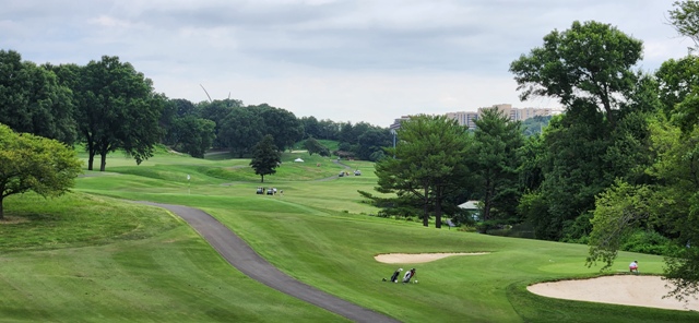 Summer Golf