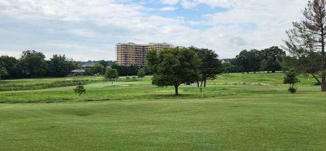 Summer Golf