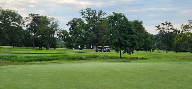 Summer Golf