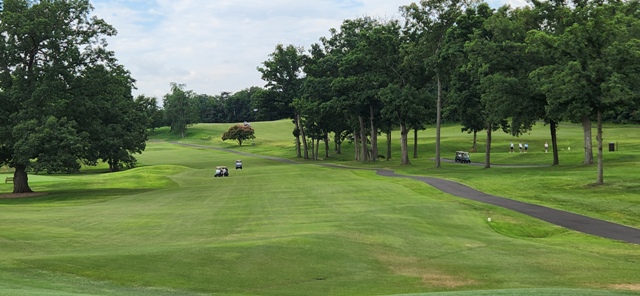 Summer Golf