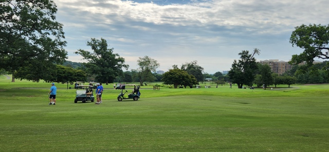 Summer Golf
