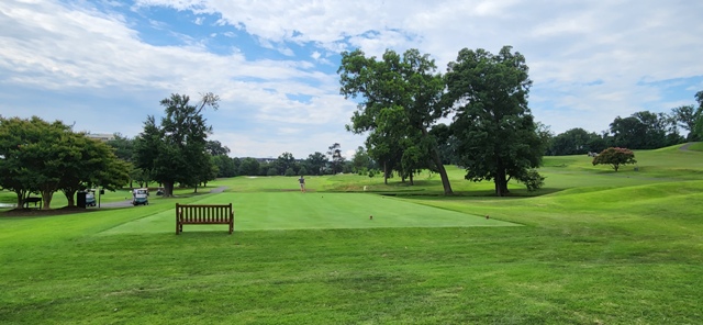 Summer Golf
