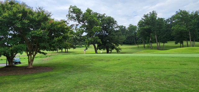 Summer Golf