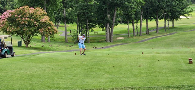 Summer Golf