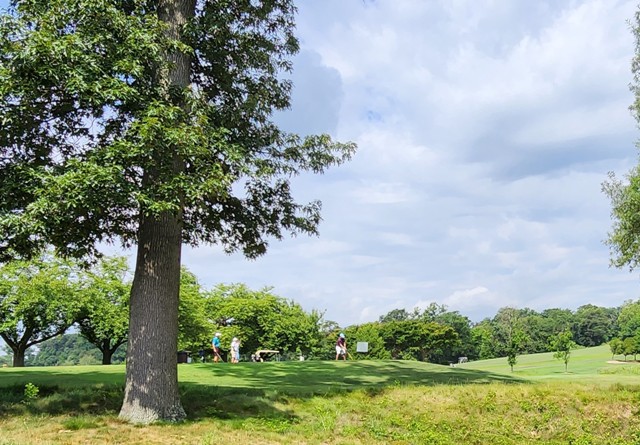 Summer Golf
